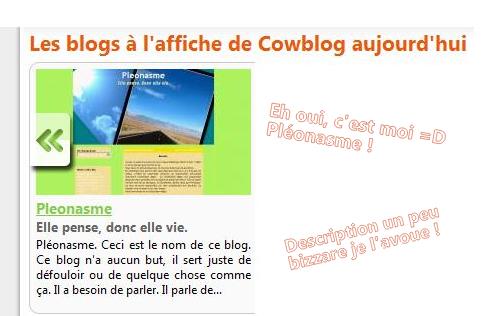 http://pleonasme.cowblog.fr/images/alaffiche.jpg